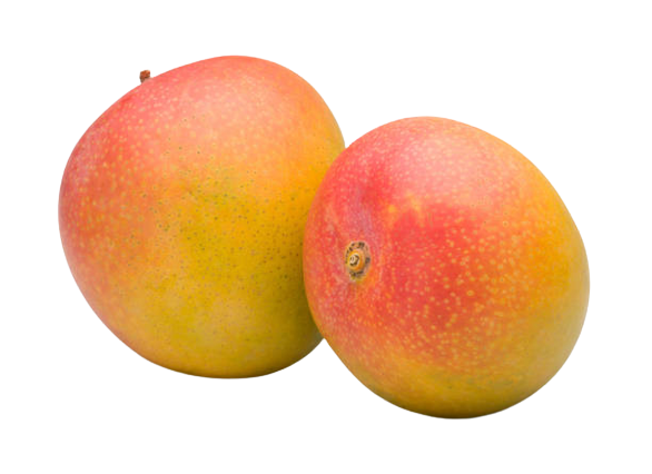 Premium Alphonso Mangoes